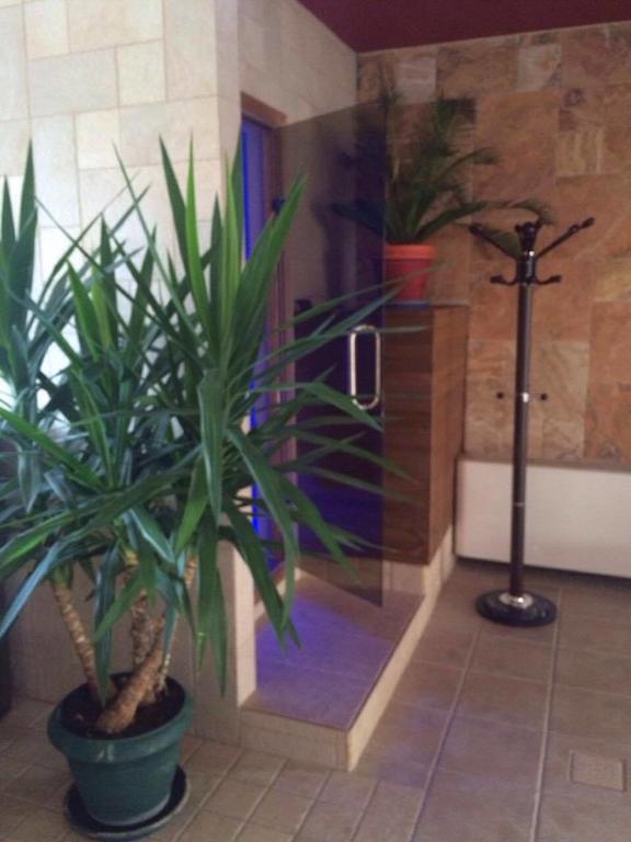 بلوفديف Hotel Cabana Spa & Relax Bar المظهر الخارجي الصورة